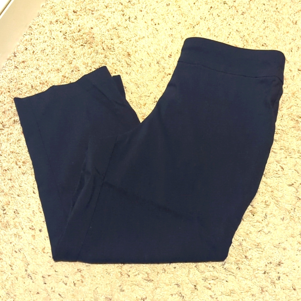 ⭐5/$25 Navy pull on Capri pants